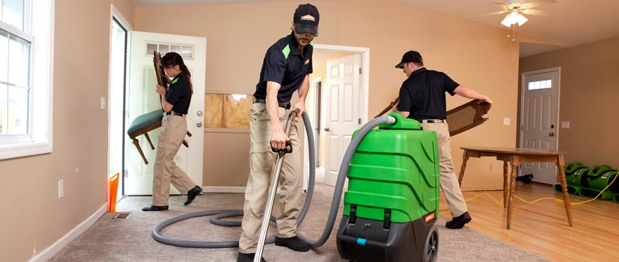 Canton, MI cleaning services